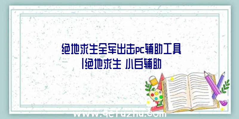 「绝地求生全军出击pc辅助工具」|绝地求生